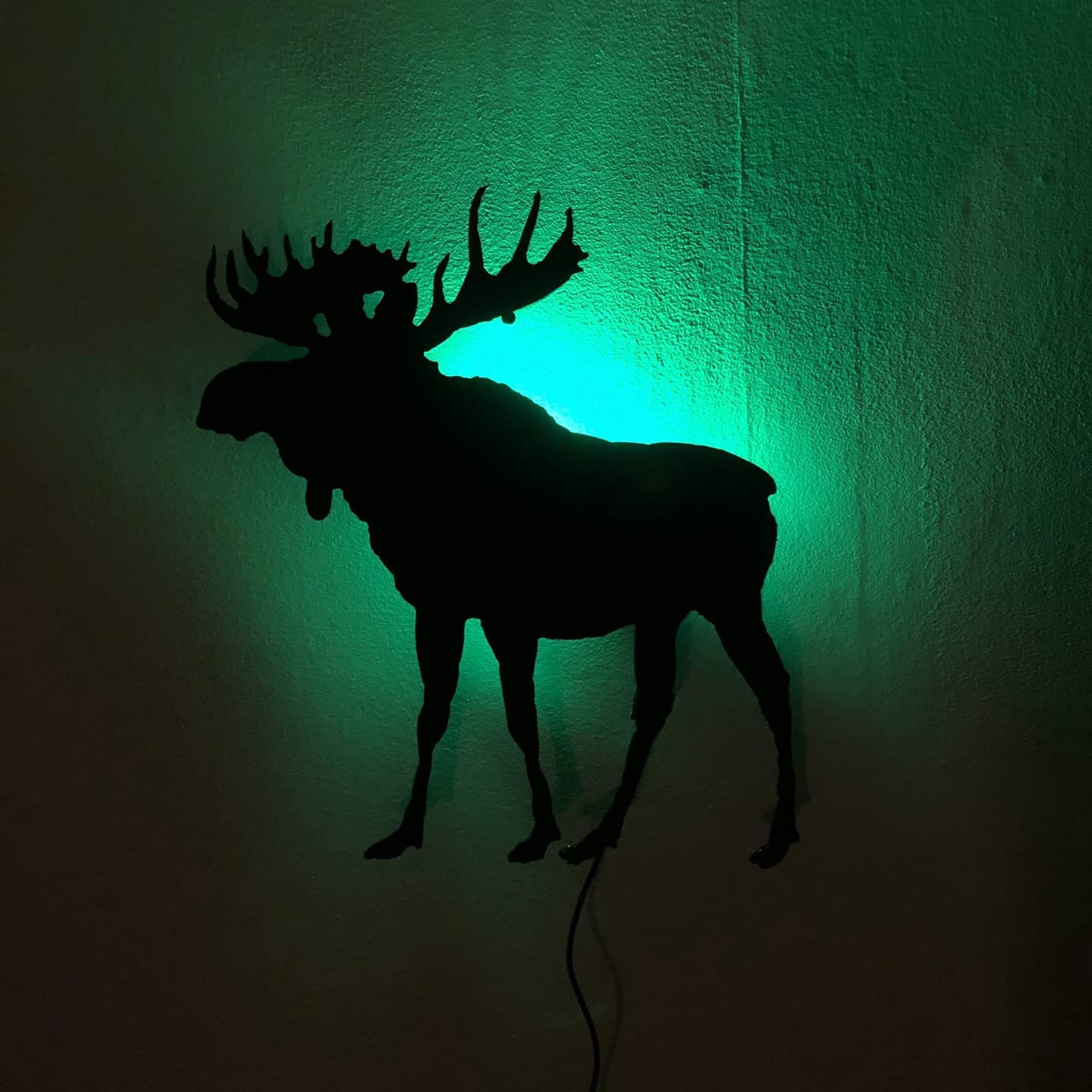 MOTIV - BJÖRNEN