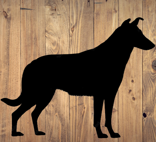 Motiv Korthårig Collie i plåt från Kungdesign